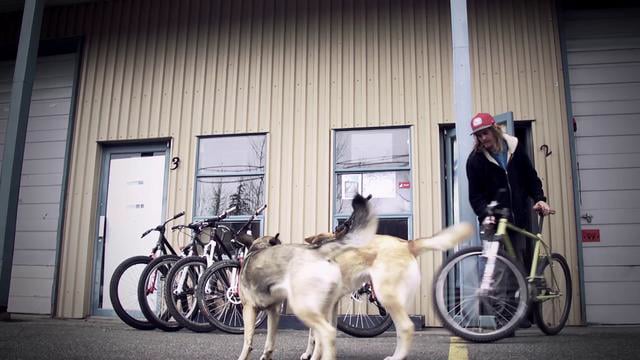 Chromag Space from Chromag