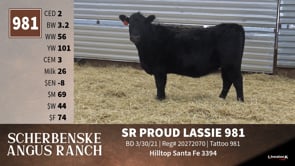 Lot #981 - SR PROUD LASSIE 981