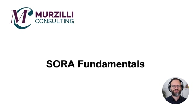 sora training online