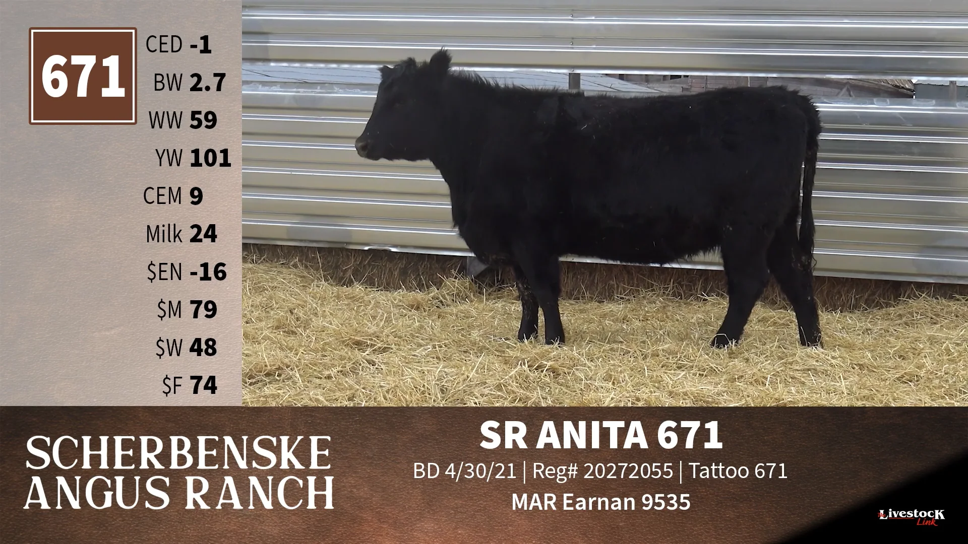 Scherbenske Angus Ranch - Lot 671 on Vimeo