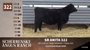 Lot #352 - SR HEIRESS 352