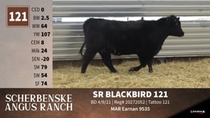 Lot #121 - SR BLACKBIRD 121