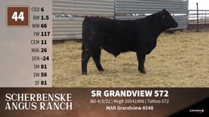 Lot #44 - SR GRANDVIEW 572