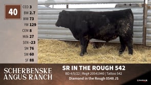 Lot #40 - SR IN THE ROUGH 542
