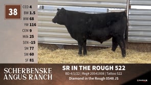 Lot #38 - SR IN THE ROUGH 322