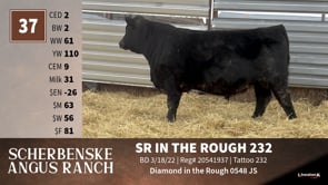 Lot #37 - SR IN THE ROUGH 232