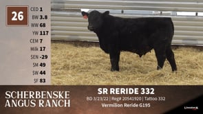 Lot #26 - SR RERIDE 332