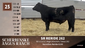 Lot #25 - SR RERIDE 262