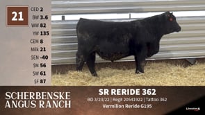 Lot #21 - SR RERIDE 362