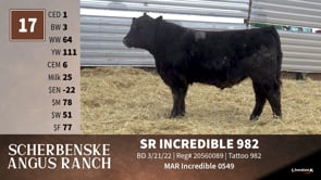 Lot #17 - SR INCREDIBLE 982