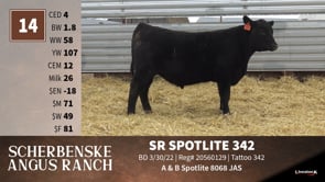 Lot #14 - SR SPOTLITE 342