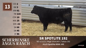 Lot #13 - SR SPOTLITE 192