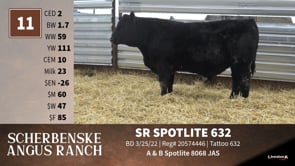 Lot #11 - SR SPOTLITE 632