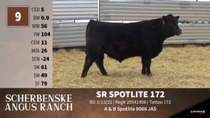 Lot #9 - SR SPOTLITE 172