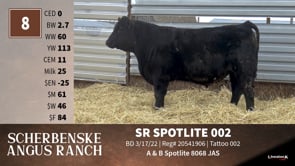 Lot #8 - SR SPOTLITE 002