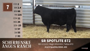 Lot #7 - SR SPOTLITE 872