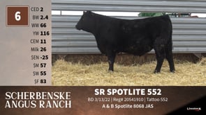 Lot #6 - SR SPOTLITE 552