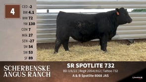 Lot #4 - SR SPOTLITE 732