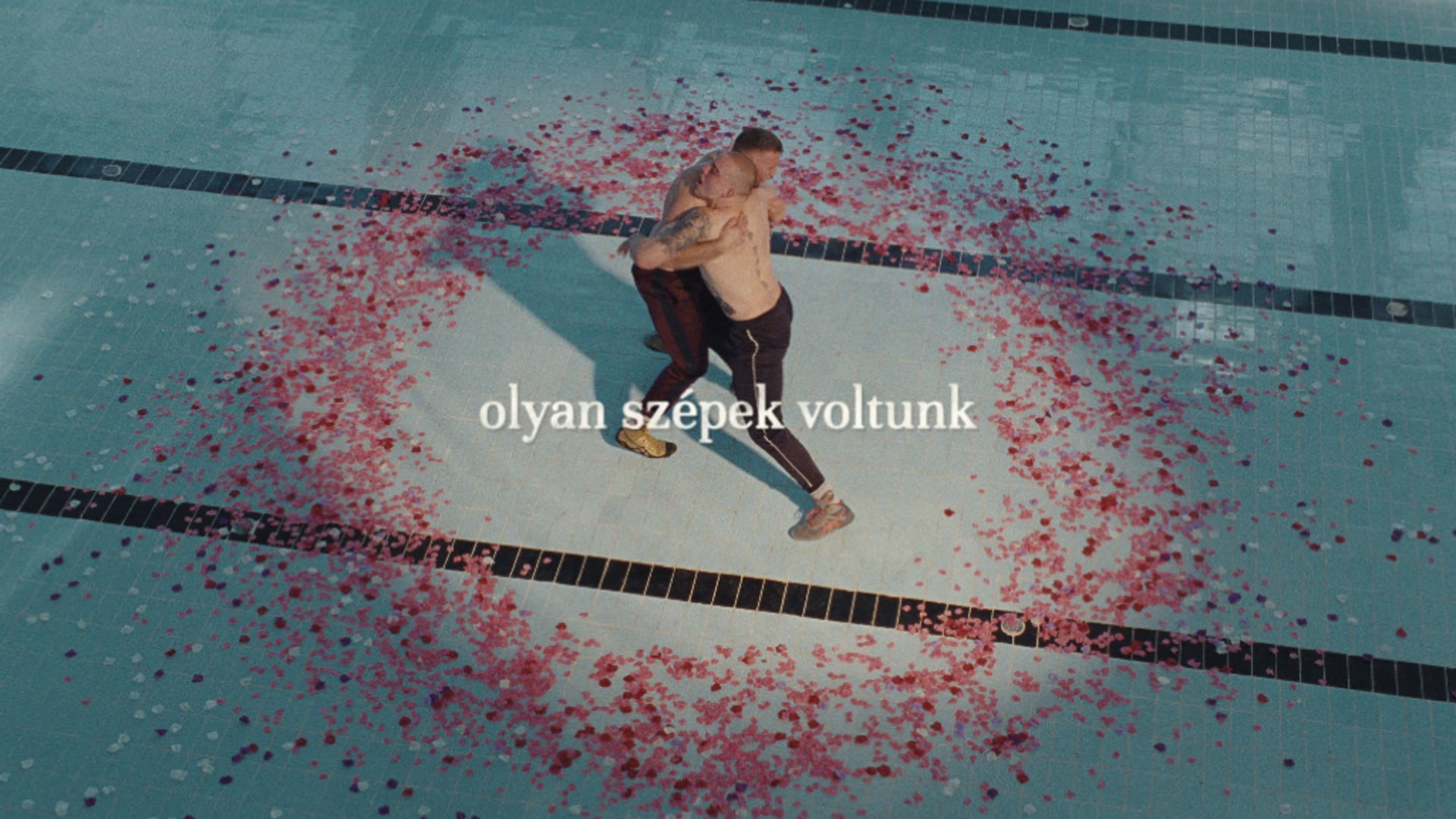 SHELL BEACH - Olyan szépek voltunk (We were beautiful)