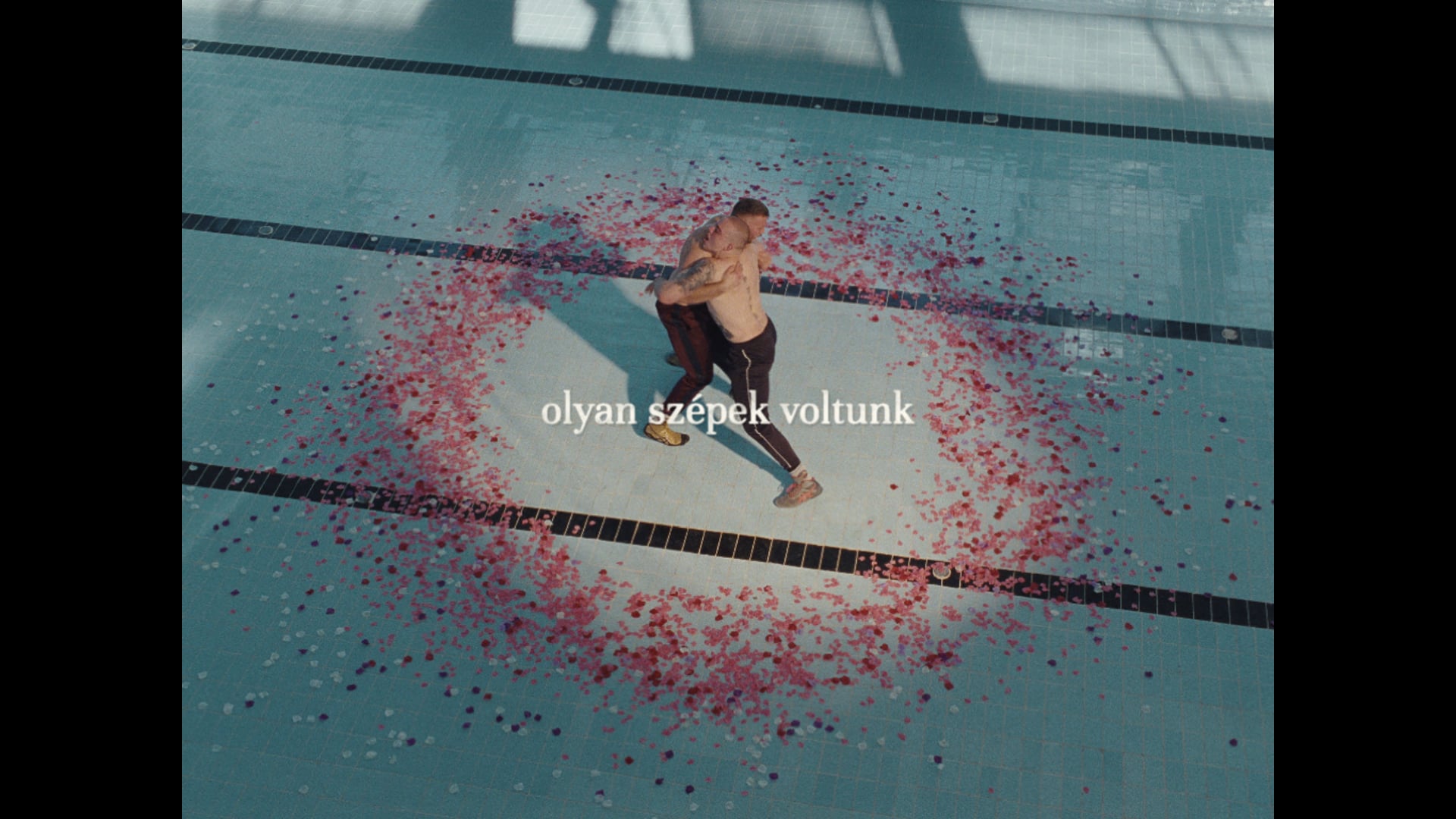 SHELL BEACH - Olyan szépek voltunk (We were beautiful)