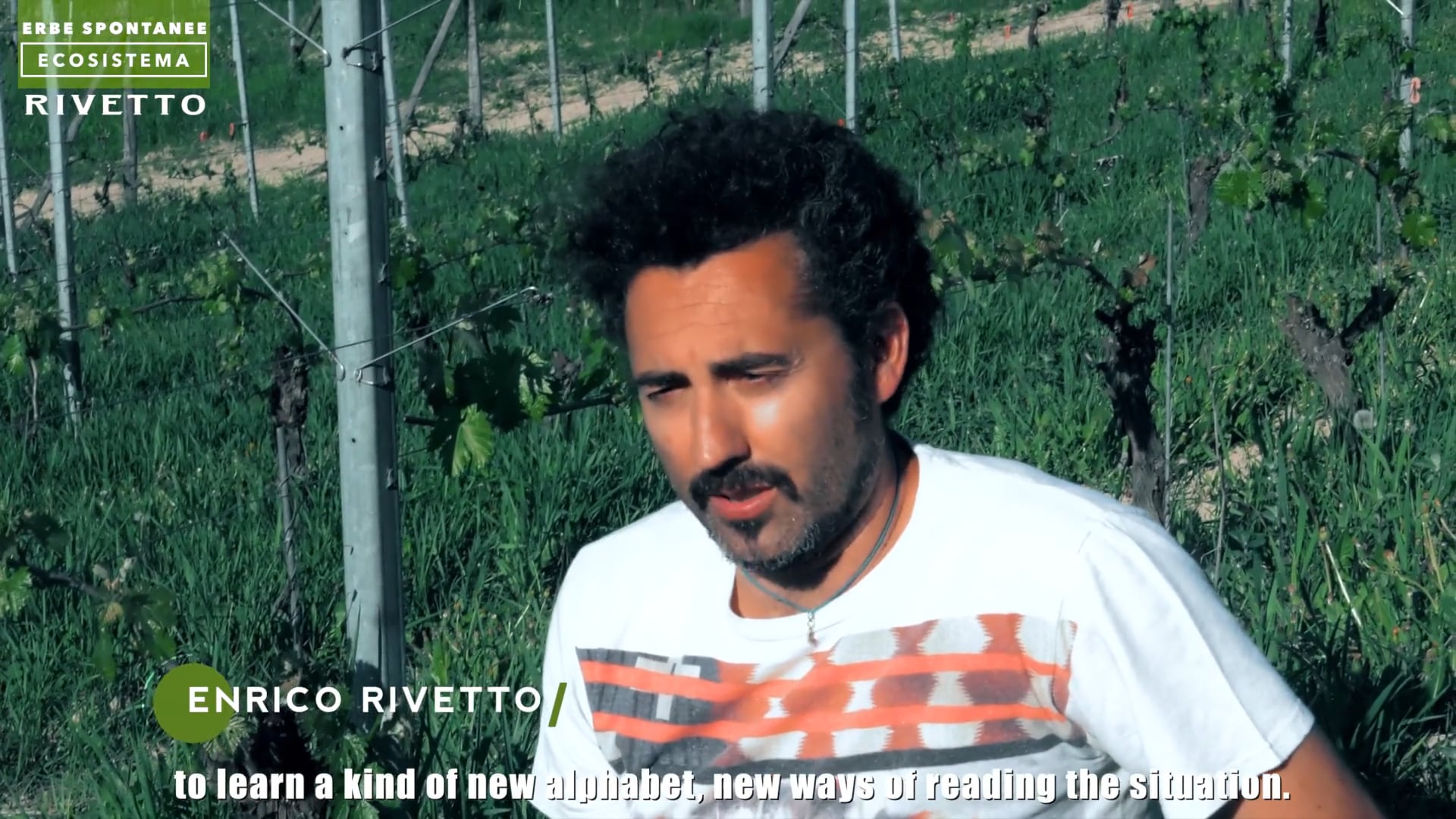 Le erbe spontanee | Weeds