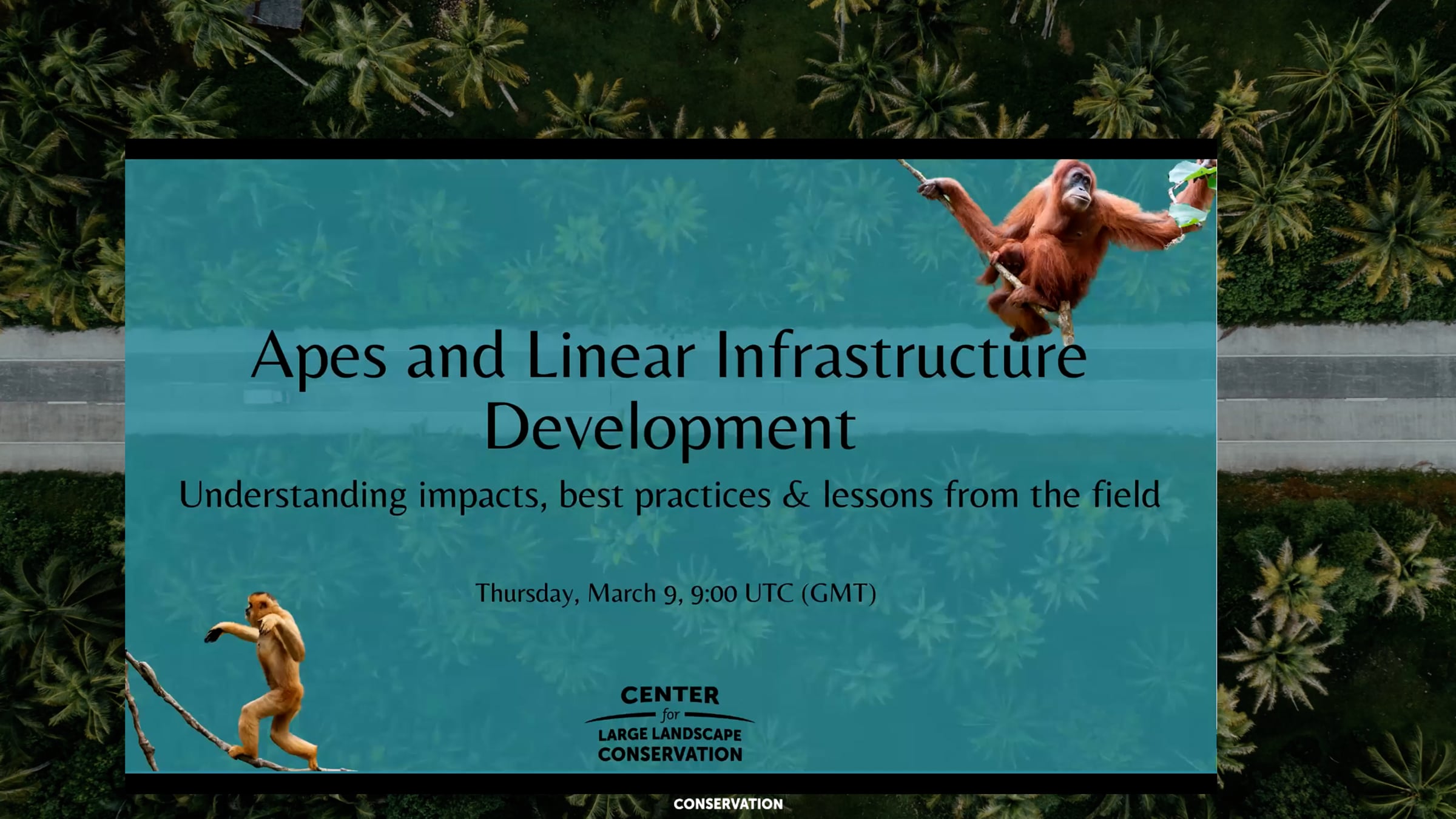 Apes and Linear Infrastructure Development Webinar | Videos & Movies on ...
