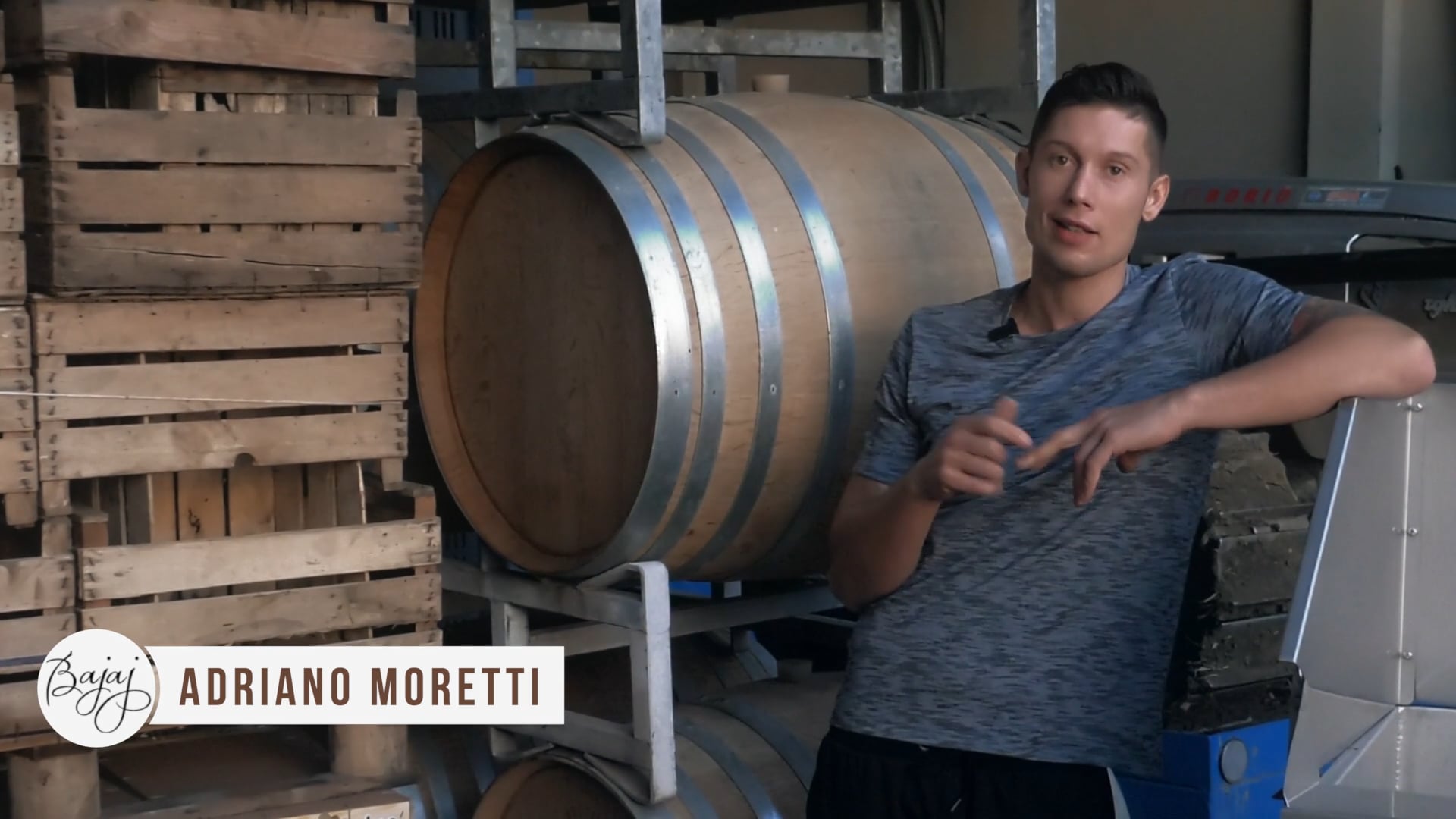 La cantina del buon senso | The common sense cellar