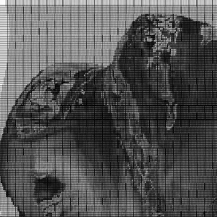 Grid_Distortion on Vimeo