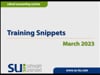 Training Snippets-March 2023