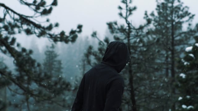 2020 REEL By Josh Salinas