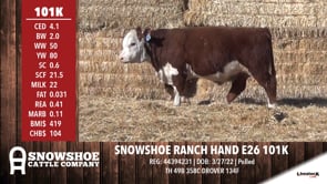 Lot #101K - SNOWSHOE RANCH HAND E26 101K