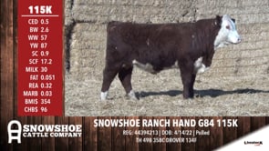 Lot #115K - OUT--- SNOWSHOE RANCH HAND G84 115K ---OUT