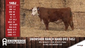Lot #145J - SNOWSHOE RANCH HAND D93 145J
