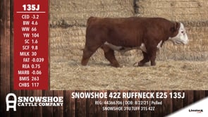 Lot #135J - SNOWSHOE 42Z RUFFNECK E25 135J