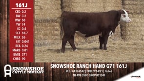 Lot #161J - SNOWSHOE RANCH HAND G71 161J