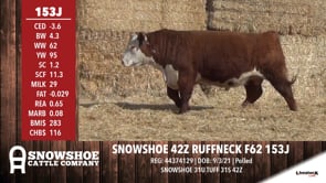 Lot #153J - SNOWSHOE 42Z RUFFNECK F62 153J