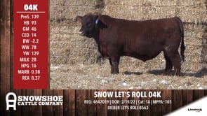 Lot #RA04K - SNOW LET'S ROLL 04K