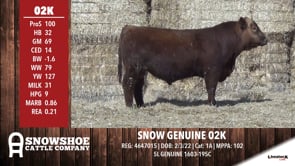 Lot #RA02K - SNOW GENUINE 02K