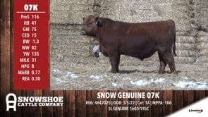 Lot #RA07K - SNOW GENUINE 07K