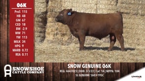 Lot #RA06K - SNOW GENUINE 06K