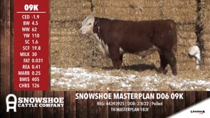 Lot #09K - SNOWSHOE MASTERPLAN D06 09K