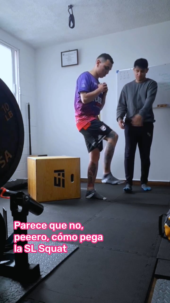 SINGLE LEG BOX SQUAT on Vimeo