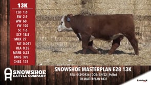 Lot #13K - SNOWSHOE MASTERPLAN E28 13K