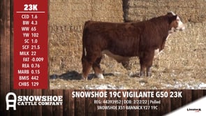 Lot #23K - SNOWSHOE 19C VIGILANTE G50 23K