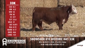 Lot #33K - SNOWSHOE 81E HISTORIC H41 33K