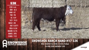 Lot #53K - SNOWSHOE RANCH HAND H17 53K