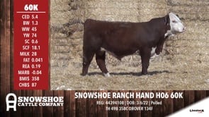 Lot #60K - SNOWSHOE RANCH HAND H06 60K