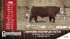Lot #72K - SNOWSHOE MASTERPLAN C42 72K