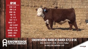 Lot #81K - SNOWSHOE RANCH HAND E73 81K