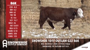 Lot #86K - SNOWSHOE 101F OUTLAW G22 86K